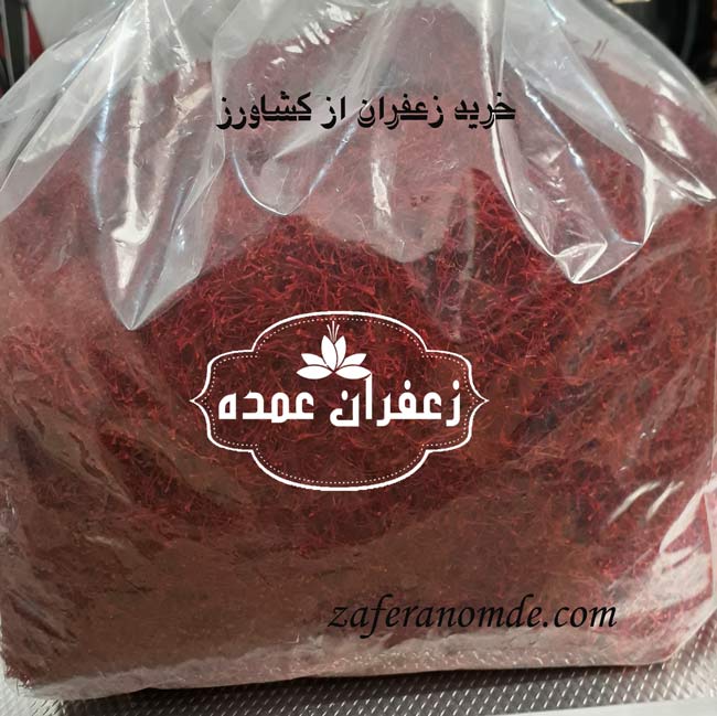 خرید زعفران از کشاورز با قیمت ارزان