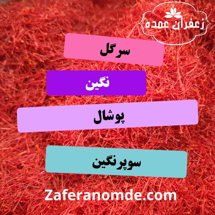 نمایندگی فروش زعفران در تهران