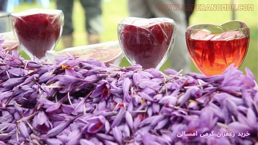 خرید زعفران گرمی امسالی از کشاورز